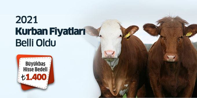 Ensar Vakfı Kurban Fiyatları Belli Oldu