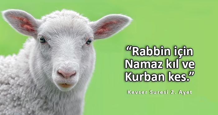 Ensar Vakfı Kurban Bağışlarını Kabul Etmeye Başlamıştır