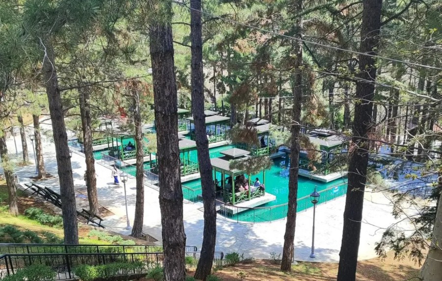 Ensar Vakfı Konya Yurtları ve Şubesi Yıl Sonu Pikniğinde Buluştu